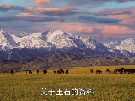 2001cctv中國經(jīng)濟(jì)年度人物頒獎典禮