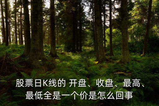  股票日K線的 開盤、收盤、最高、最低全是一個價是怎么回事