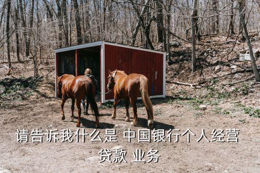 中國銀行貸款業(yè)務