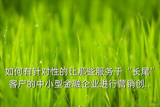 如何有針對性的讓那些服務于“長尾”客戶的中小型金融企業(yè)進行營銷創(chuàng)...