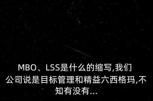 MBO、LSS是什么的縮寫,我們 公司說是目標(biāo)管理和精益六西格瑪,不知有沒有...