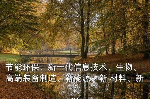節(jié)能環(huán)保、新一代信息技術(shù)、生物、 高端裝備制造、新能源、新 材料、新...