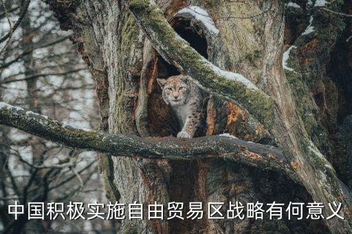 中國積極實(shí)施自由貿(mào)易區(qū)戰(zhàn)略有何意義