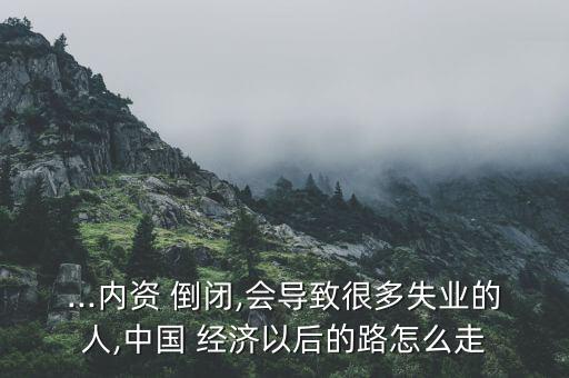 ...內(nèi)資 倒閉,會導(dǎo)致很多失業(yè)的人,中國 經(jīng)濟以后的路怎么走