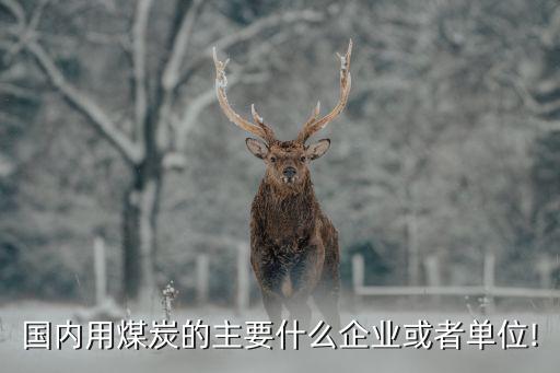 國內用煤炭的主要什么企業(yè)或者單位!