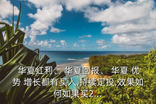 華夏紅利、 華夏回報、 華夏 優(yōu)勢 增長都有買入,持續(xù)定投,效果如何如果買2...