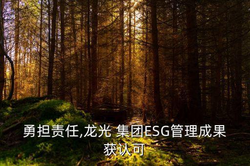 勇?lián)?zé)任,龍光 集團ESG管理成果獲認(rèn)可