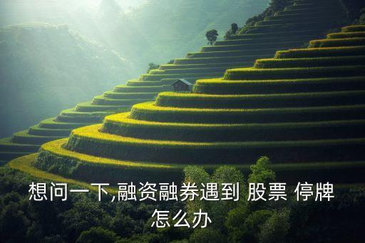 股票停牌還能當證券經(jīng)濟人嗎