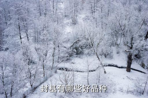 184689基金普惠封轉(zhuǎn)開(kāi)