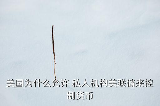 美國(guó)為什么允許 私人機(jī)構(gòu)美聯(lián)儲(chǔ)來(lái)控制貨幣