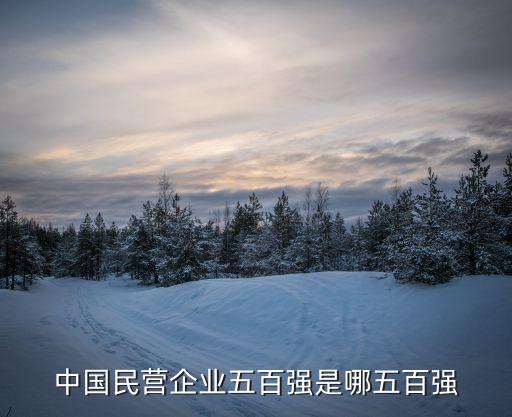 中國民營(yíng)企業(yè)五百強(qiáng)是哪五百強(qiáng)