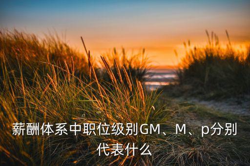 薪酬體系中職位級(jí)別GM、M、p分別代表什么