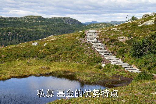 私募 基金的優(yōu)勢特點
